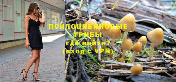 эйфоретик Белокуриха
