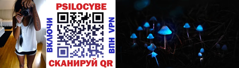 цена   Пестово  Галлюциногенные грибы Psilocybe 