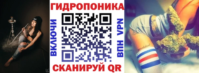 купить наркотик  Пестово  shop Telegram  Конопля ГИДРОПОН 